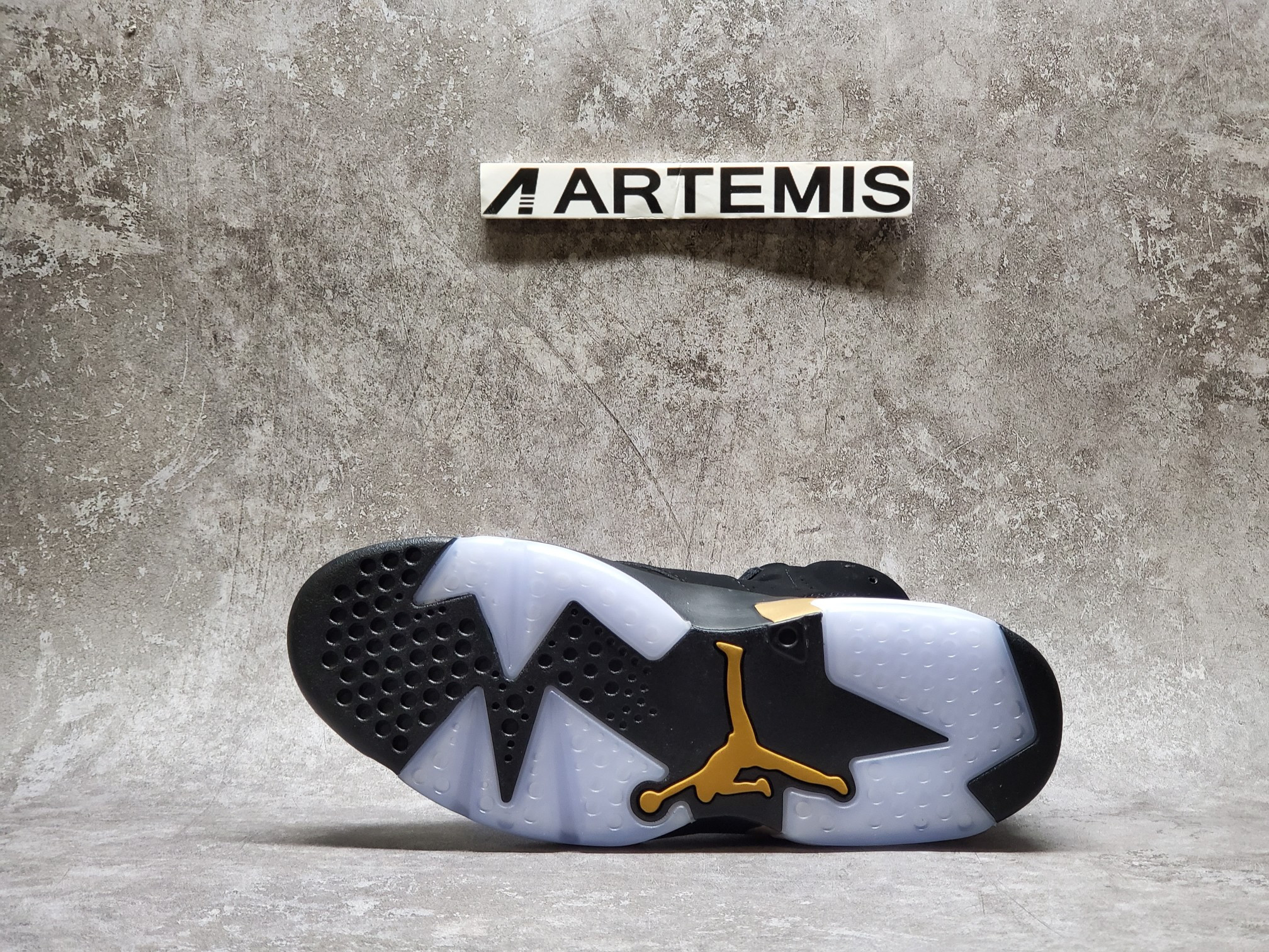 Air Jordan 6 Retro SE