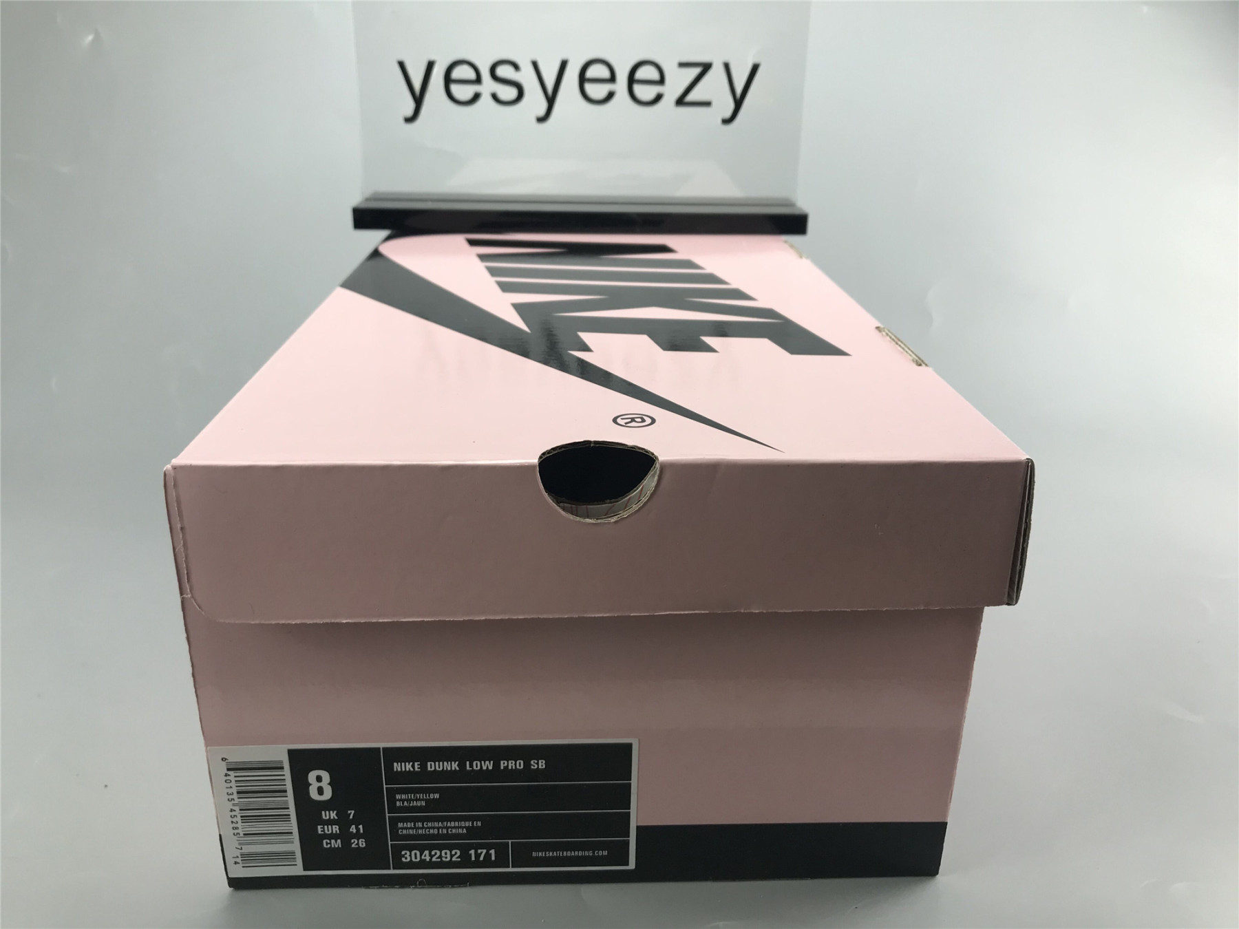 UA NIKE DUNK LOW PRO SB 