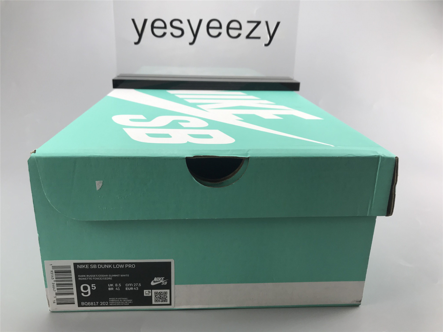 UA NIKE DUNK LOW PRO SB 