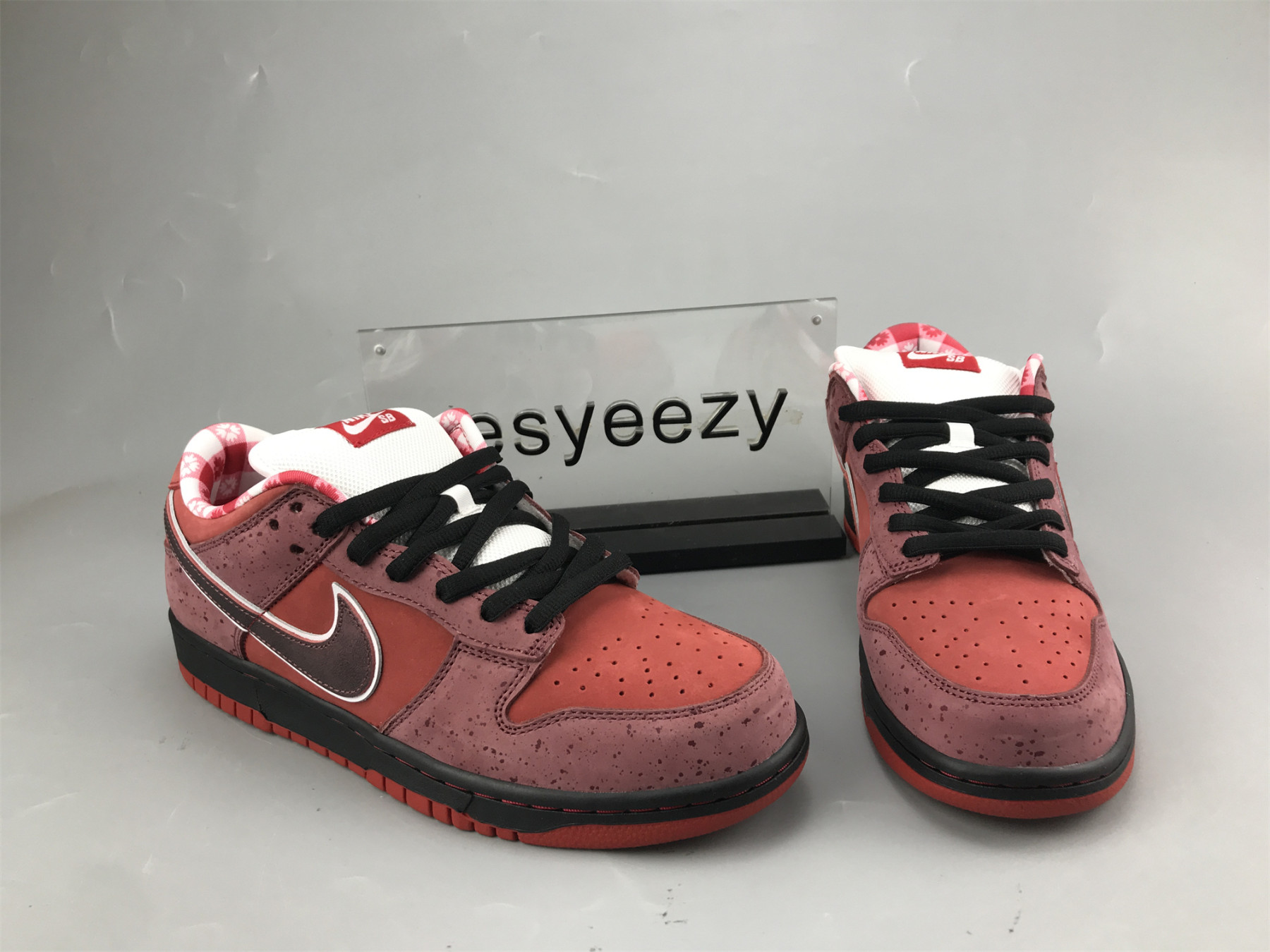 UA NIKE DUNK LOW PREMIUM SB 