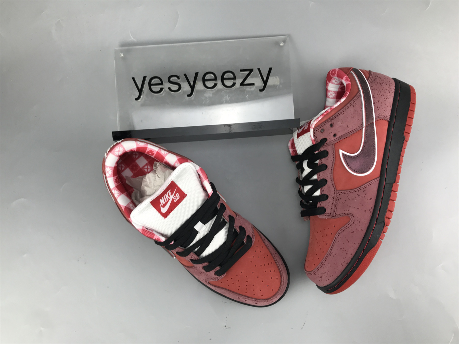 UA NIKE DUNK LOW PREMIUM SB 