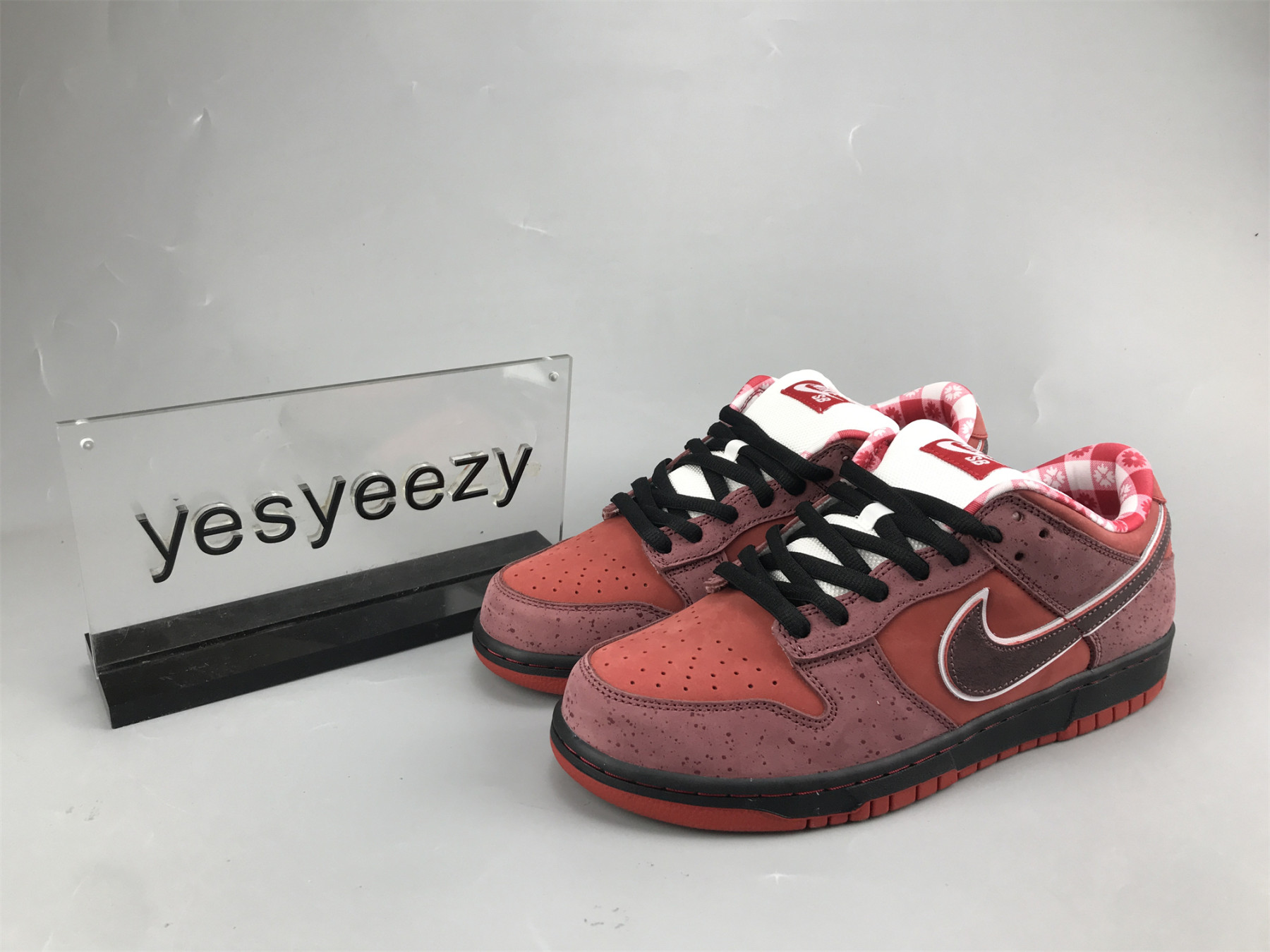 UA NIKE DUNK LOW PREMIUM SB 