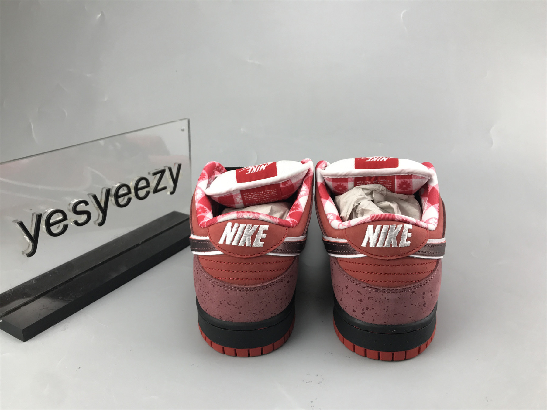 UA NIKE DUNK LOW PREMIUM SB 