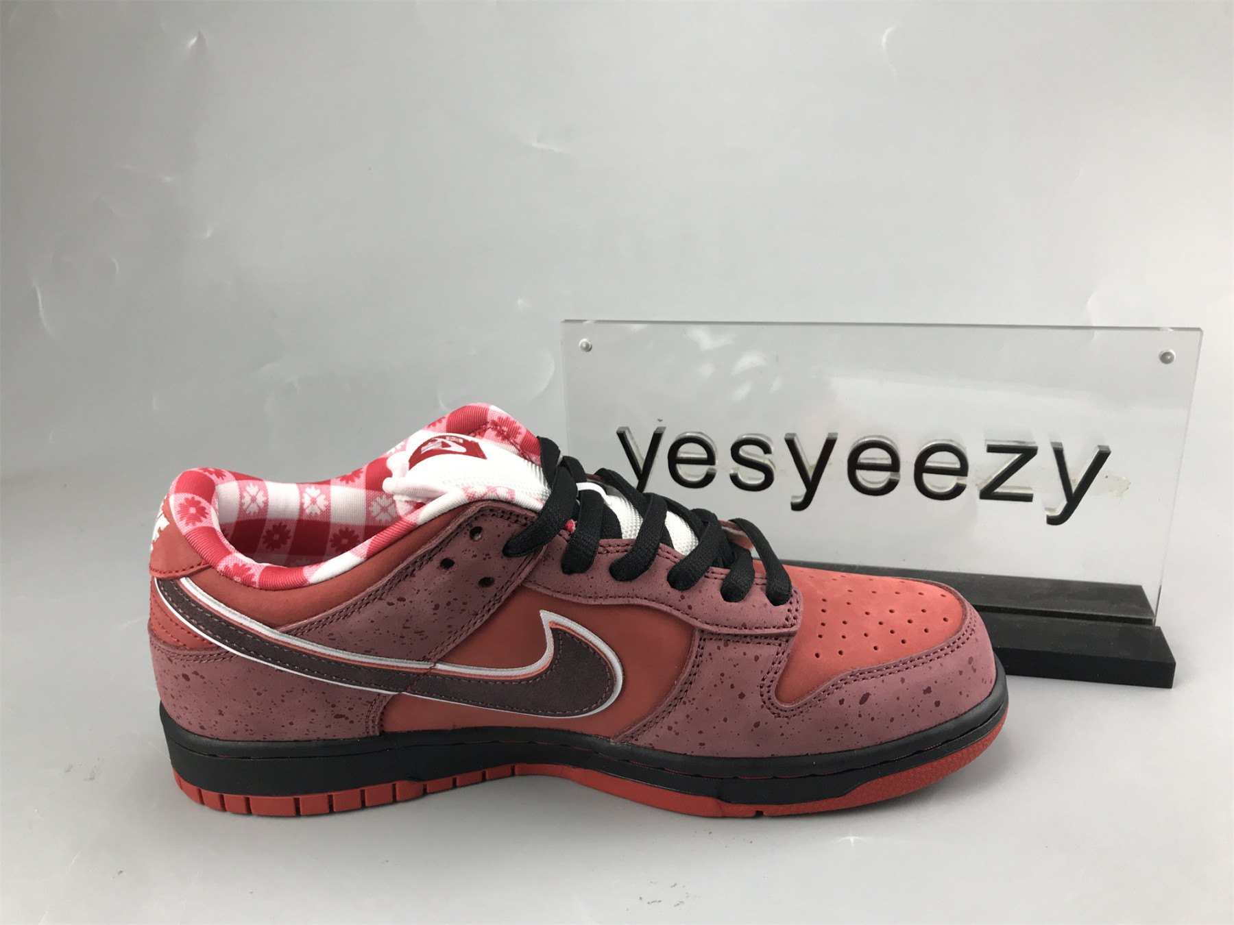 UA NIKE DUNK LOW PREMIUM SB 