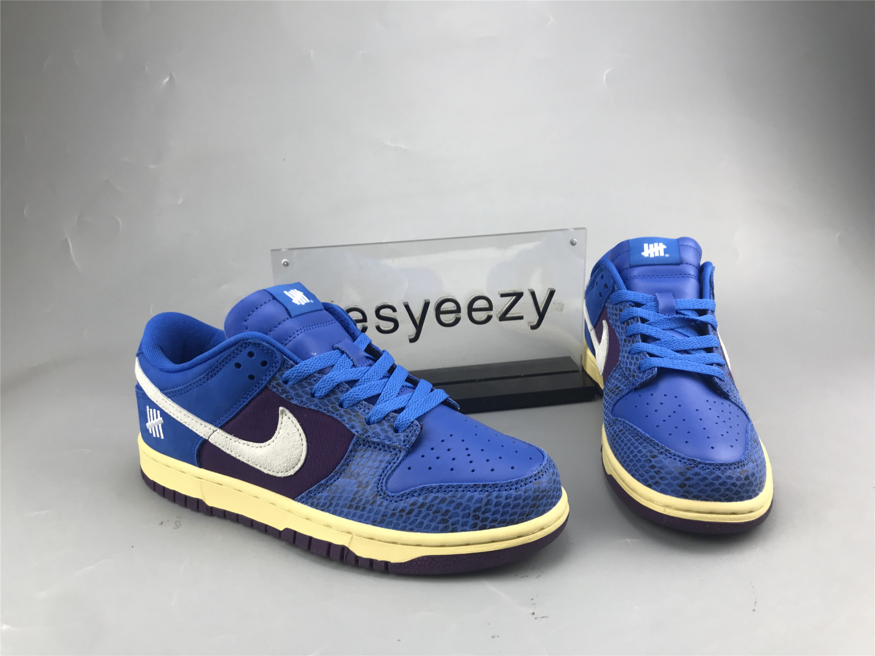 UA NIKE UNDEFEATED X DUNK LOW SP