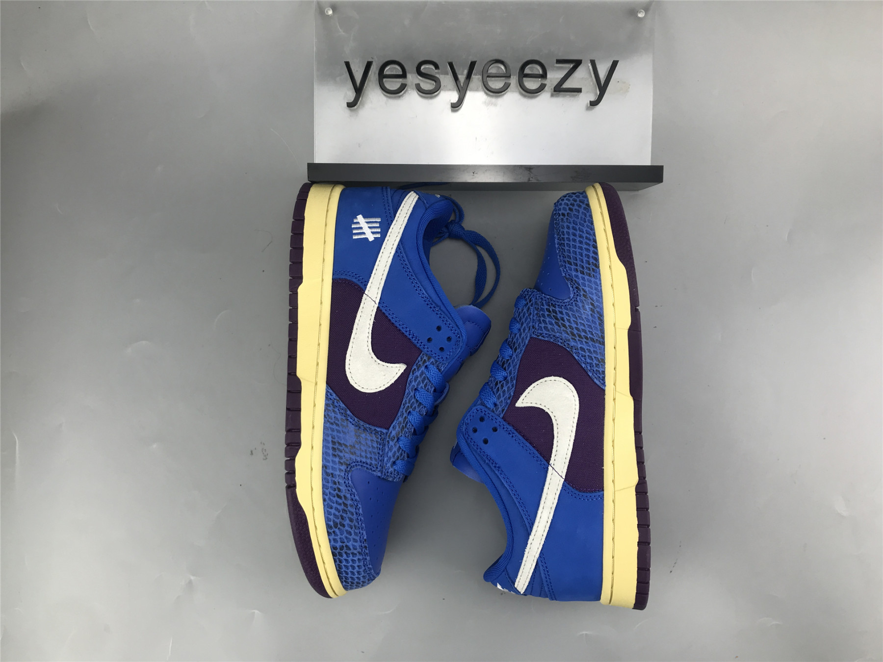 UA NIKE UNDEFEATED X DUNK LOW SP