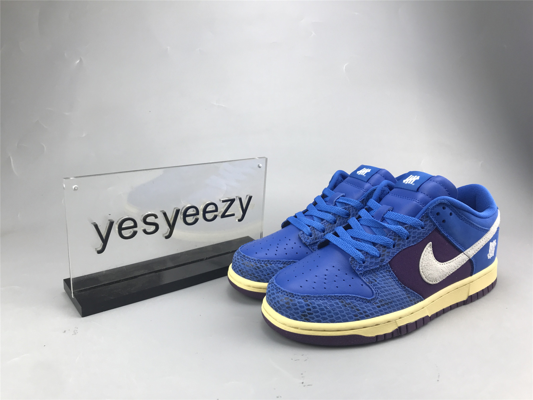 UA NIKE UNDEFEATED X DUNK LOW SP