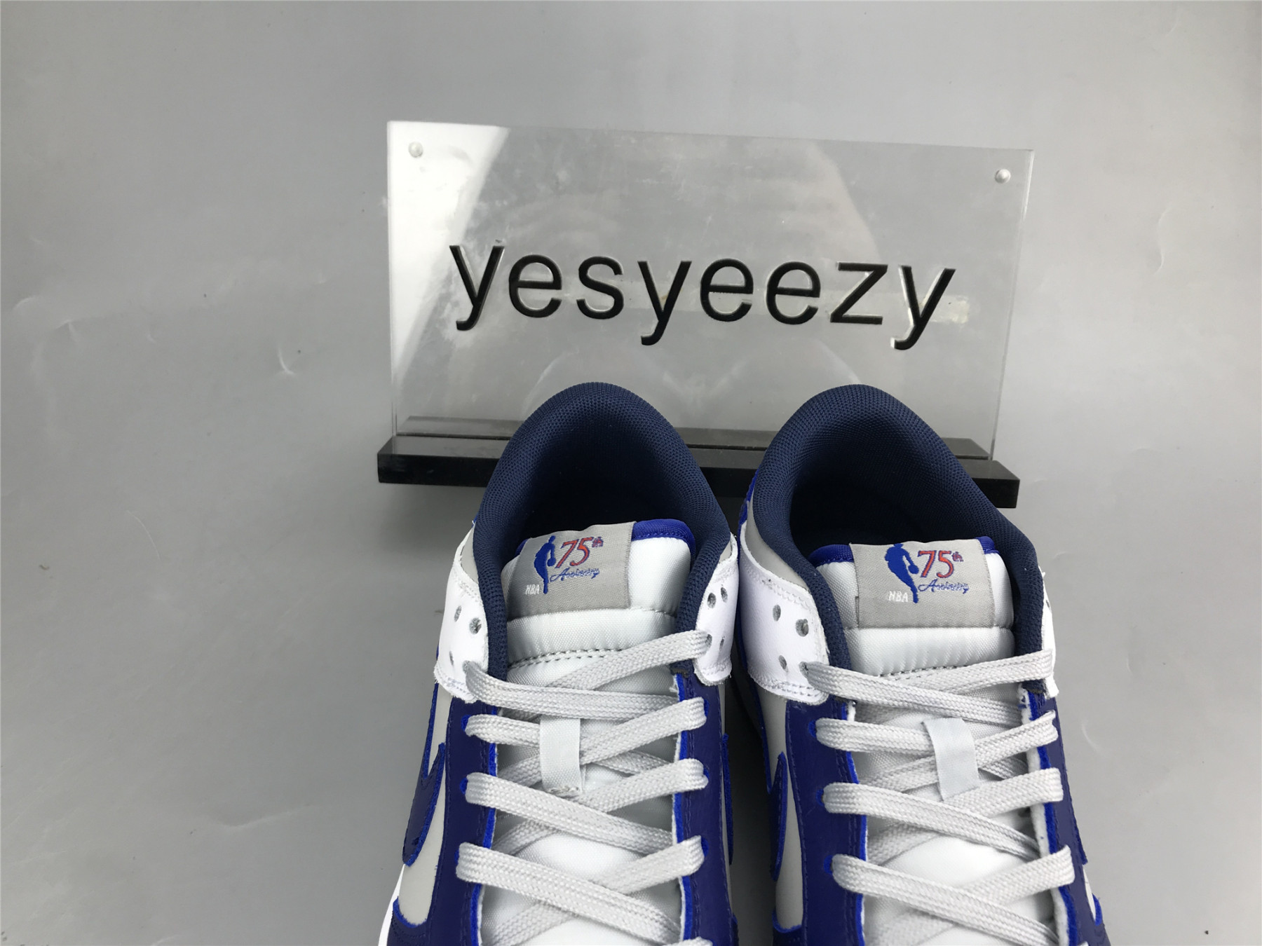 UA NIKE NBA X DUNK LOW EMB 