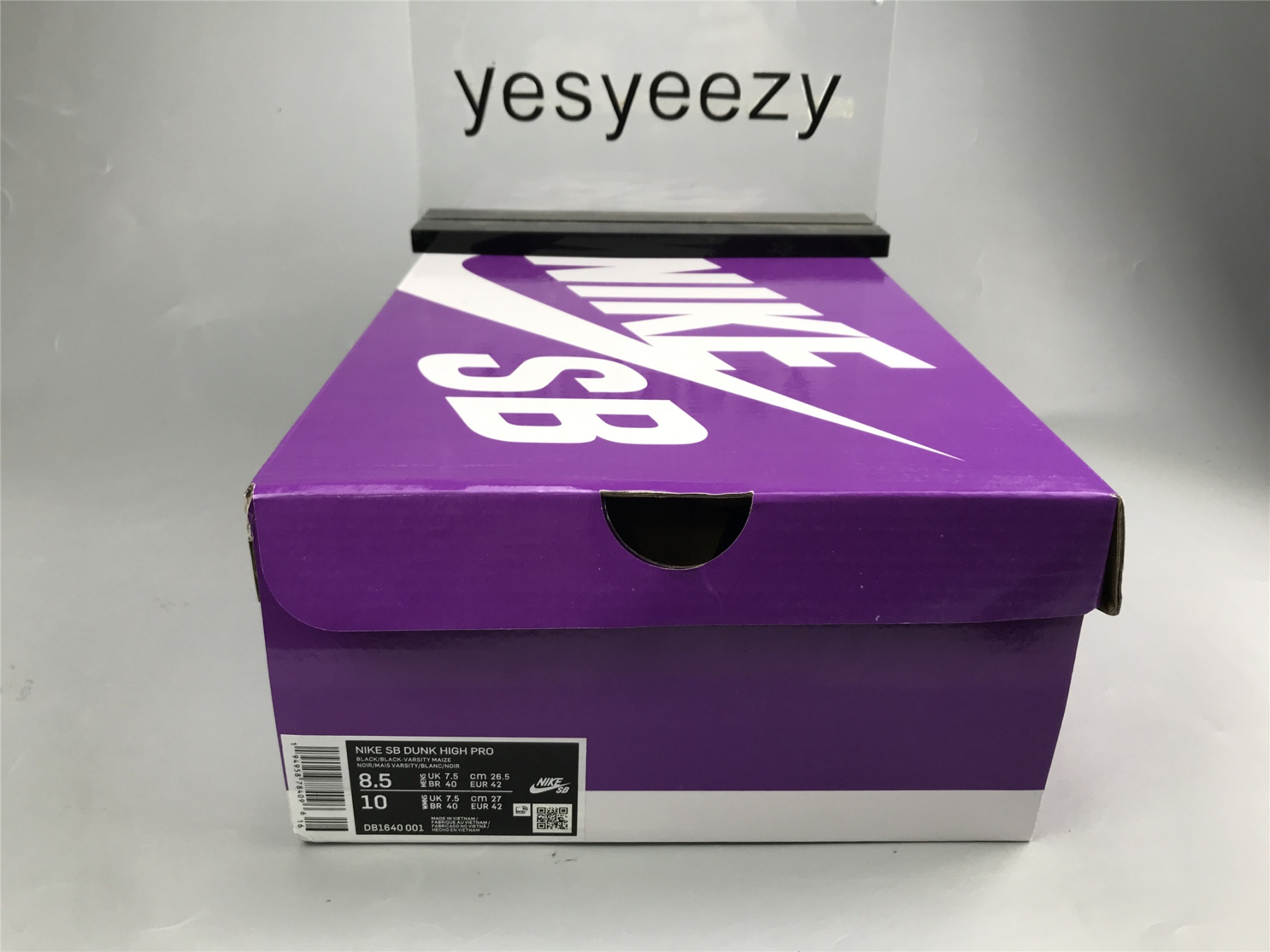 UA NIKE DUNK HIGH PRO SB 