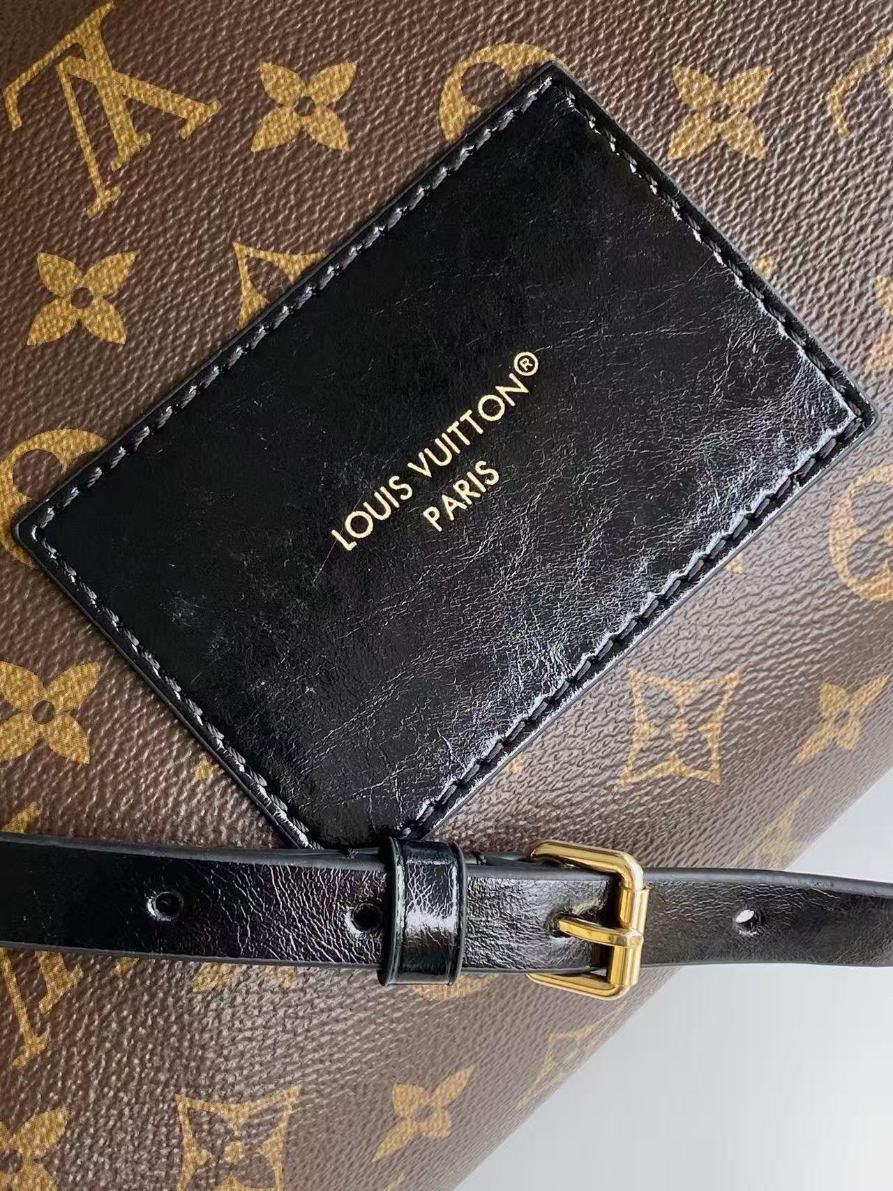 LV Teddy Mitt M26853 27x24x19cm