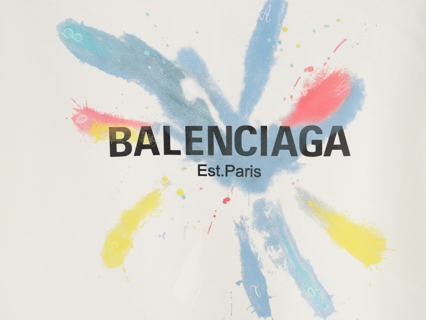 Ba1en*iaga 25FW Hoodies