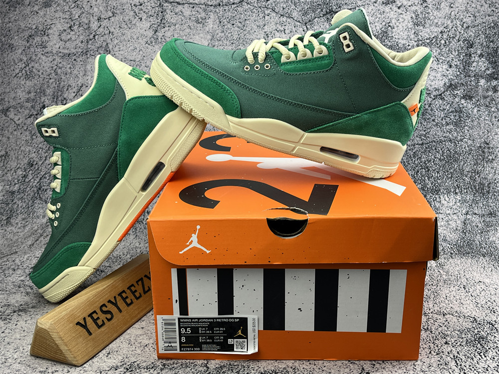 UA NINA Ch**el ABNEY X AIR JORDAN 3