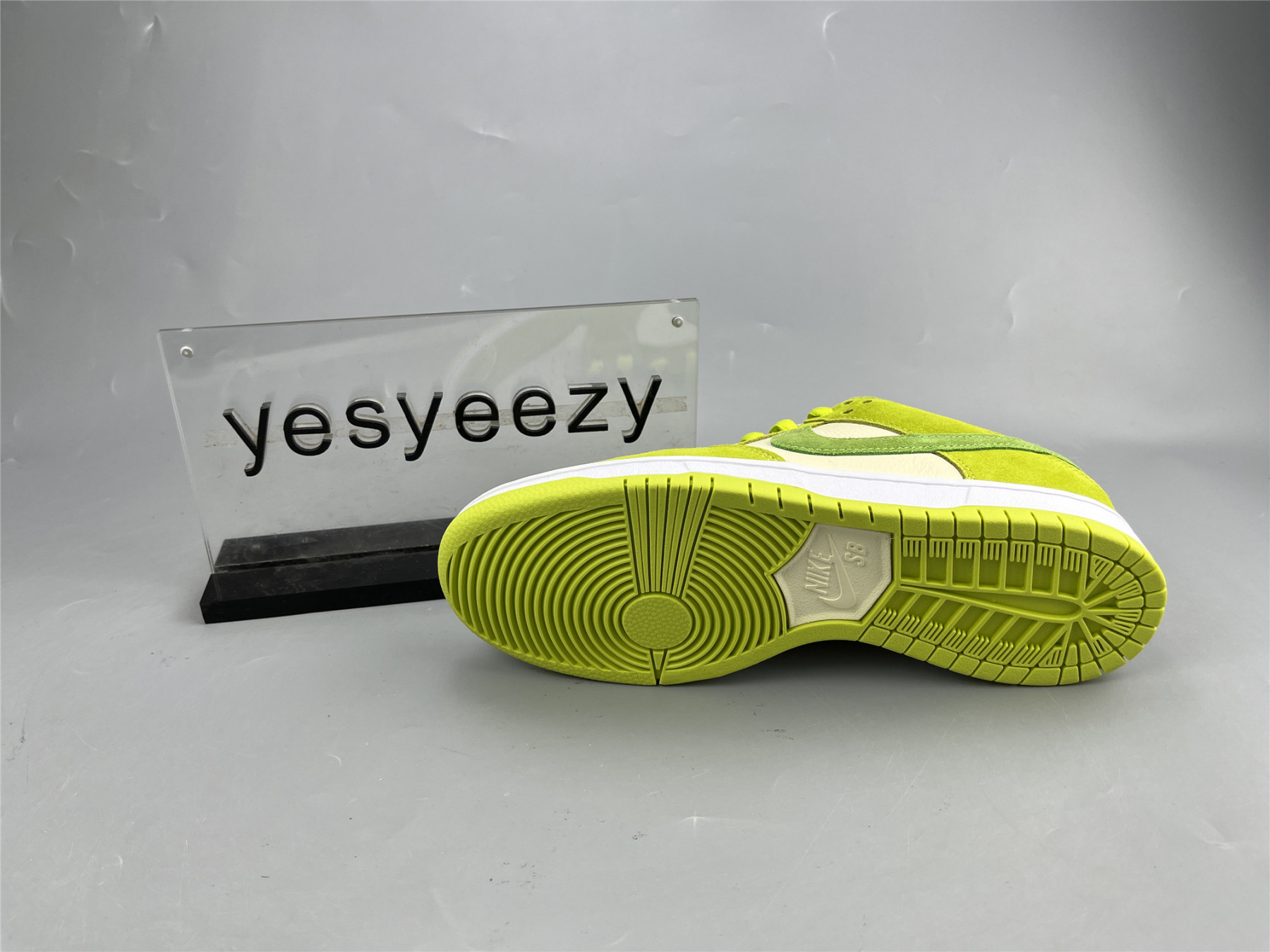 UA NIKE DUNK LOW PRO SB 