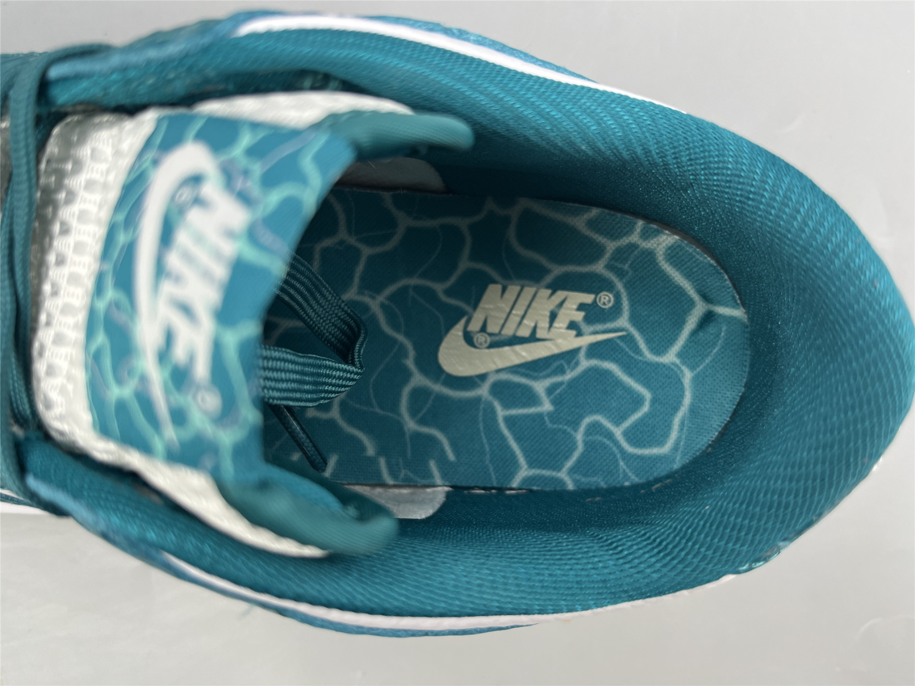 UA NIKE WMNS DUNK LOW 