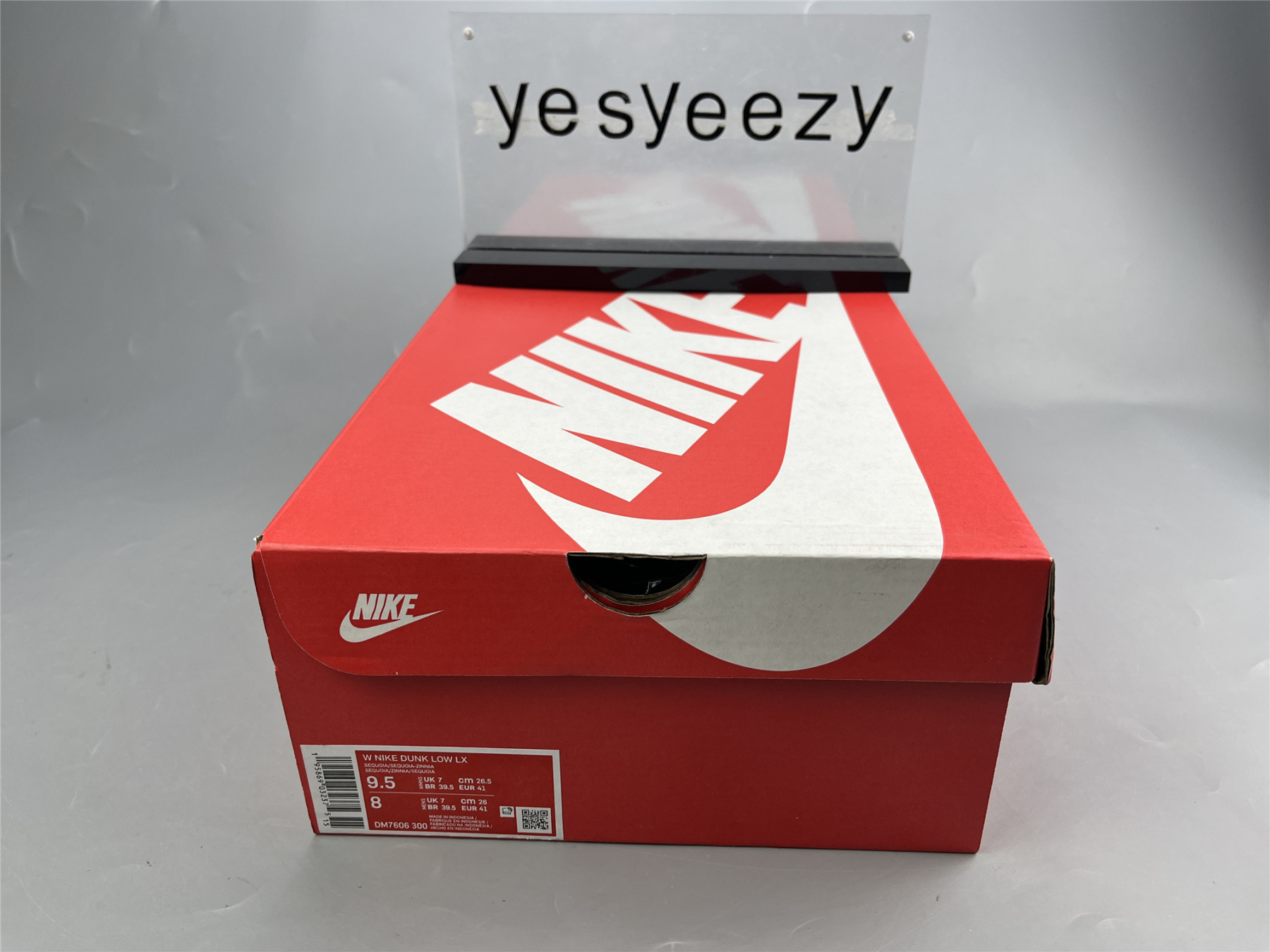 UA NIKE WMNS DUNK LOW LX 