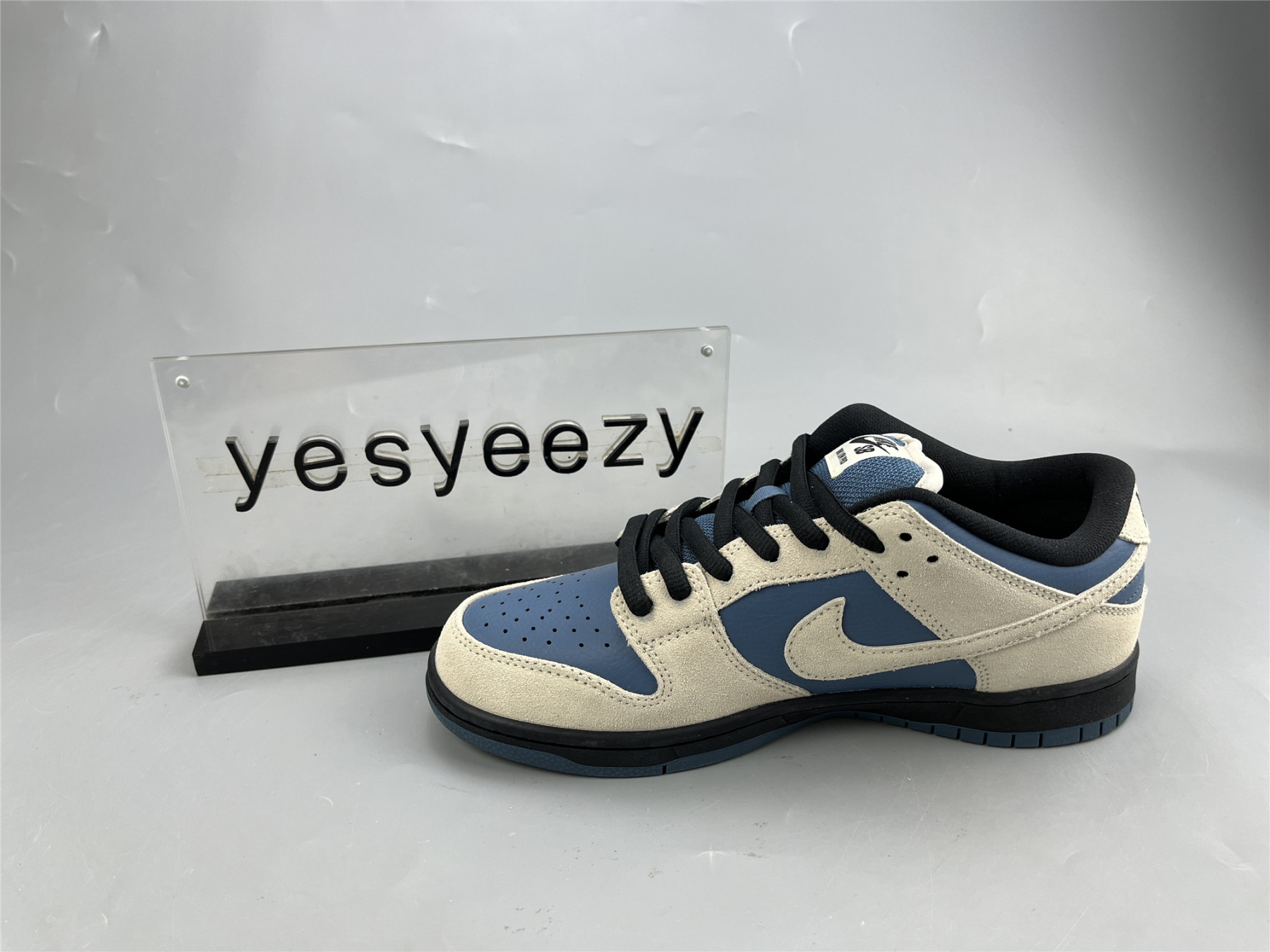 UA NIKE DUNK LOW PRO SB 