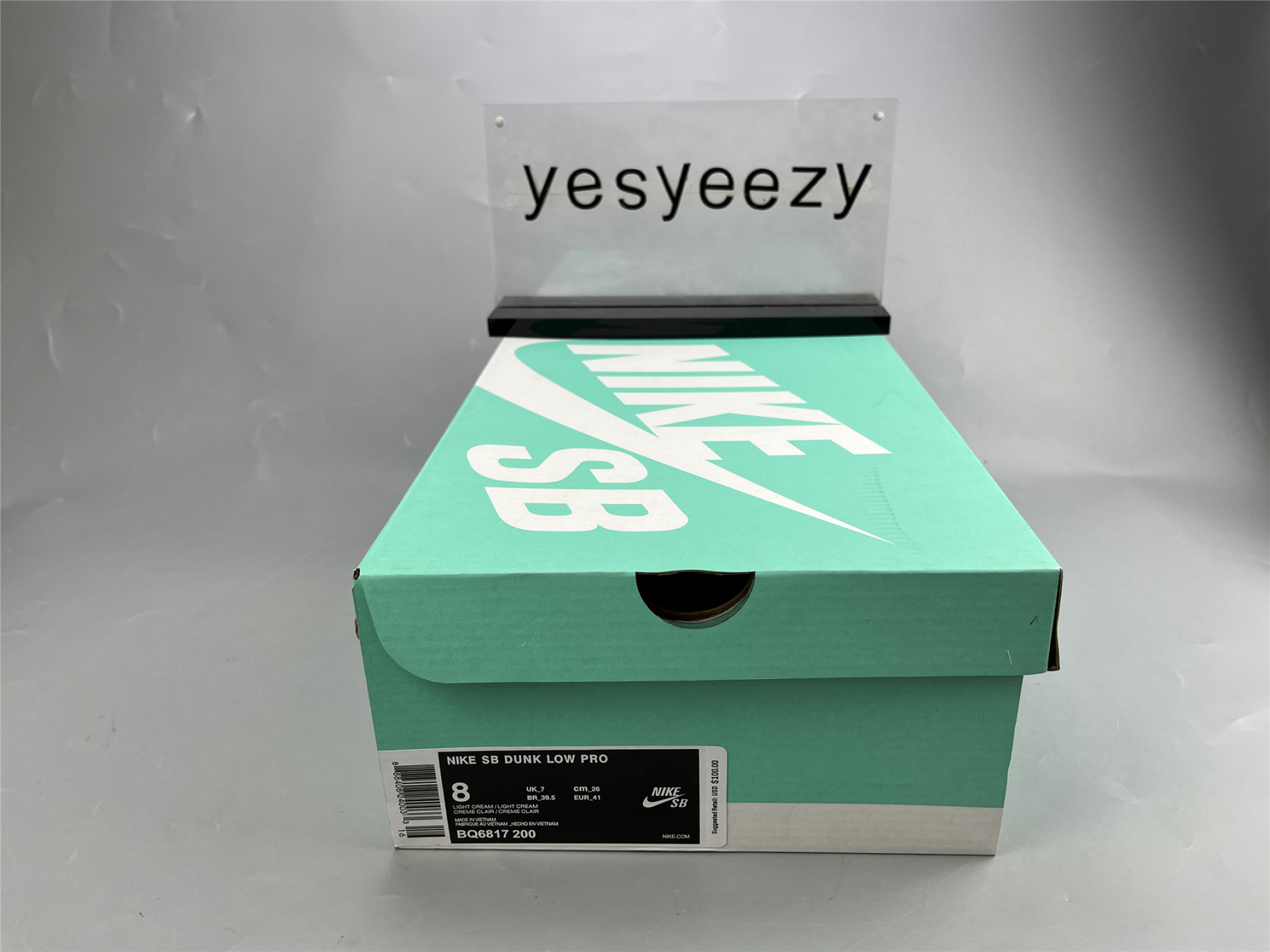 UA NIKE DUNK LOW PRO SB 