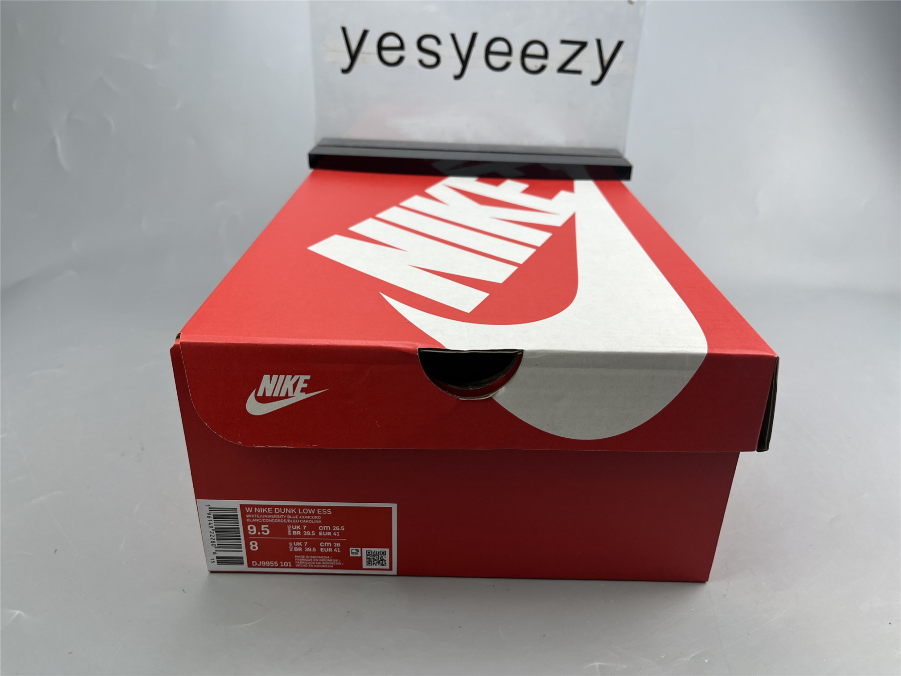 UA NIKE WMNS DUNK LOW 