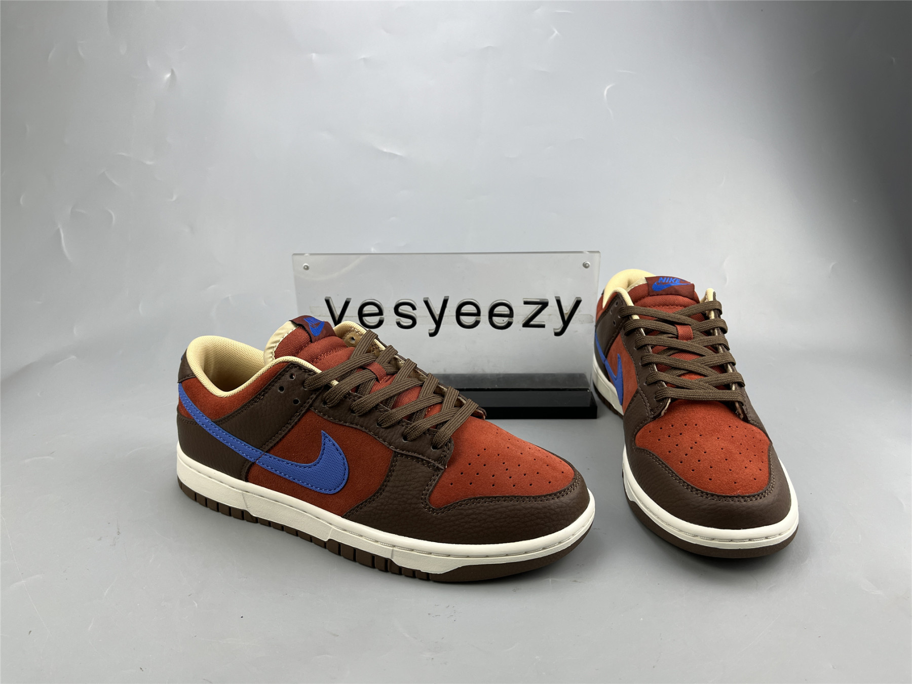 UA NIKE DUNK LOW PREMIUM 