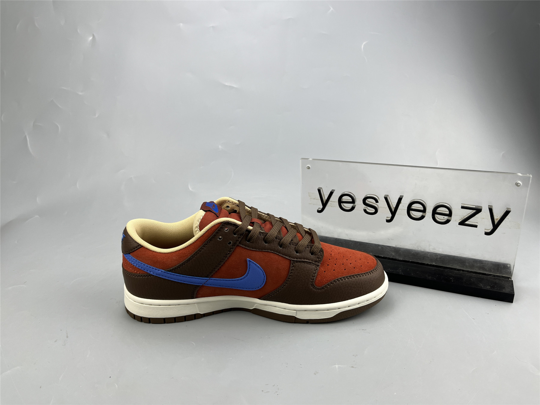 UA NIKE DUNK LOW PREMIUM 