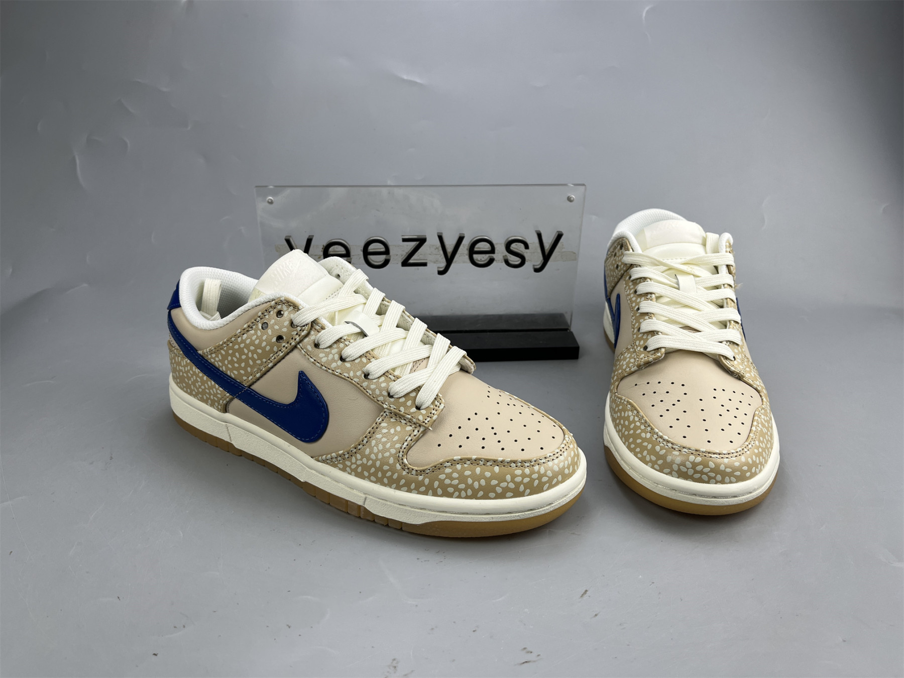 UA NIKE DUNK LOW PREMIUM 