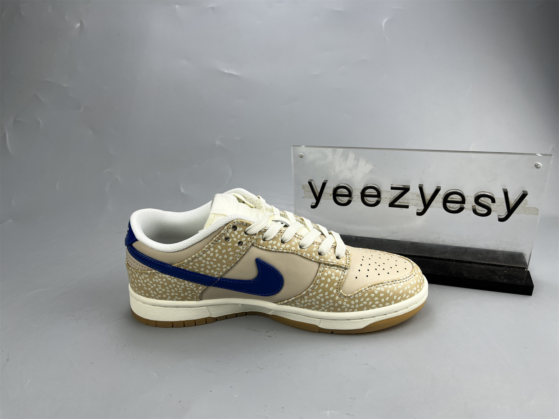 UA NIKE DUNK LOW PREMIUM 