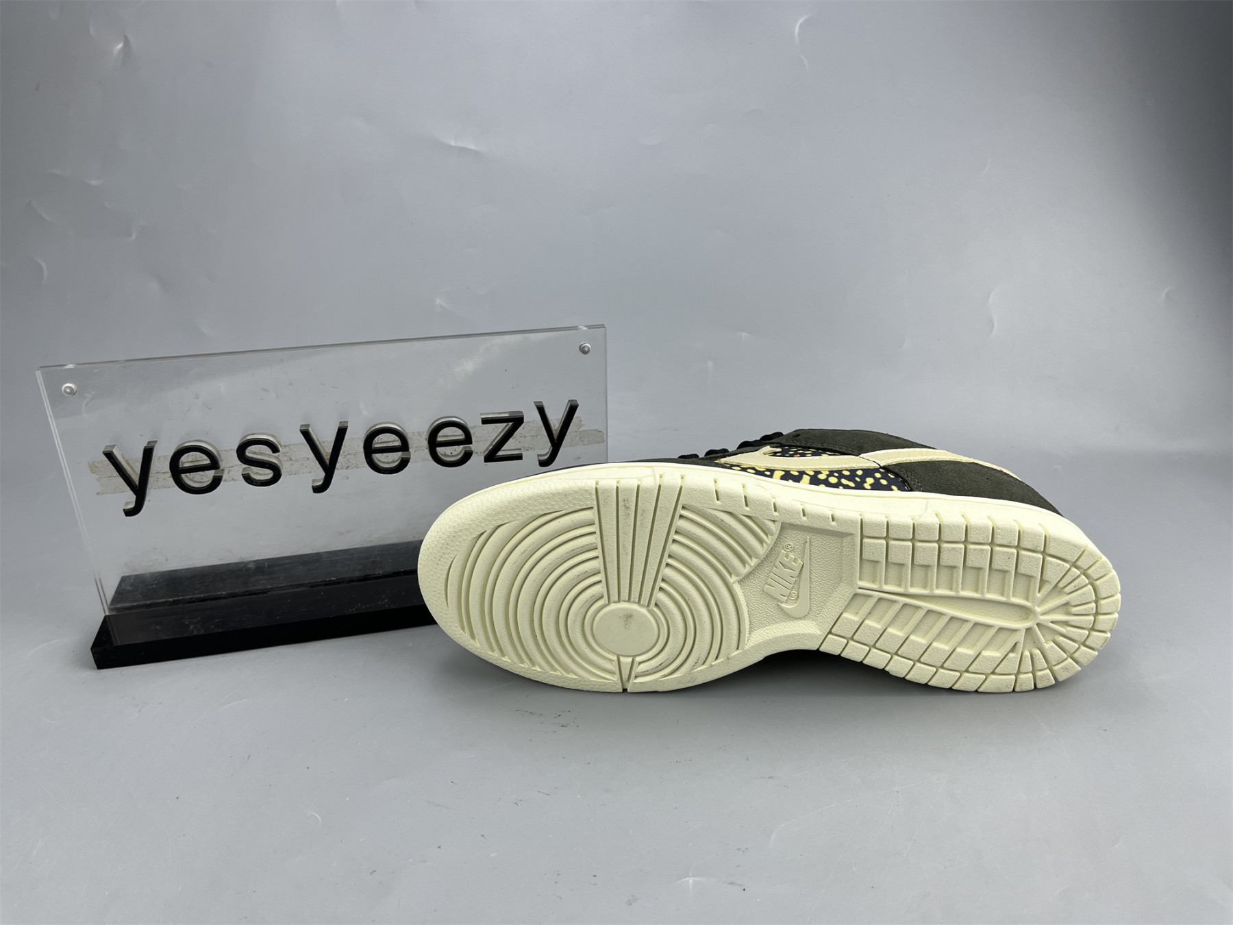 UA NIKE DUNK LOW PRO SAFARI