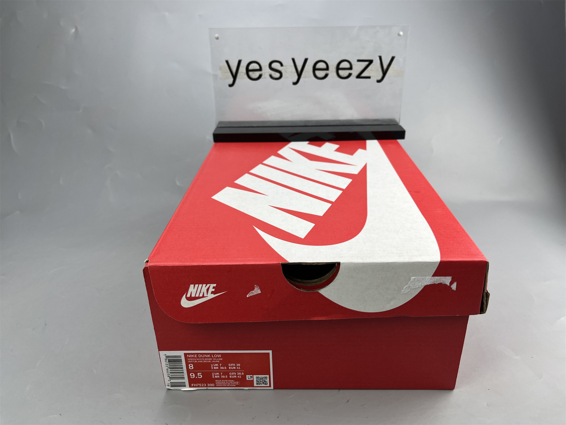 UA NIKE DUNK LOW PRO SAFARI