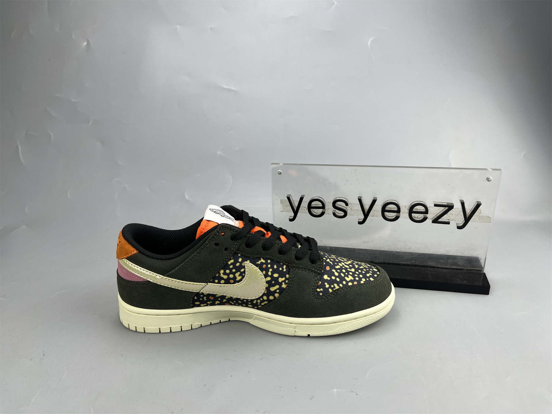 UA NIKE DUNK LOW PRO SAFARI