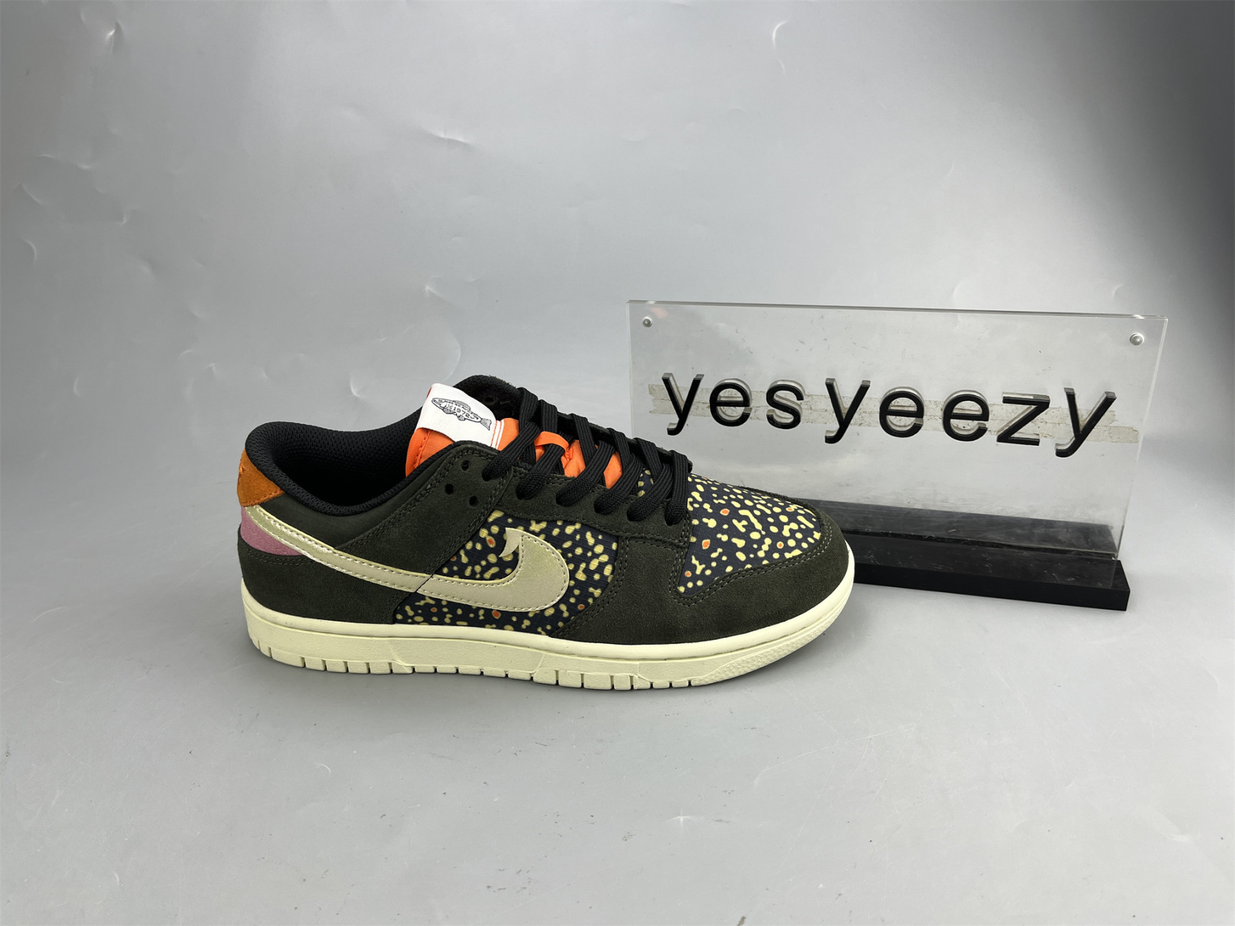 UA NIKE DUNK LOW PRO SAFARI