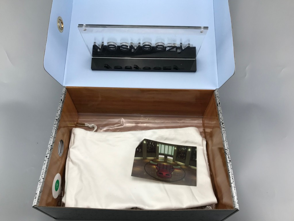 UA AIR JORDAN 5 RETRO "TROPHY ROOM"