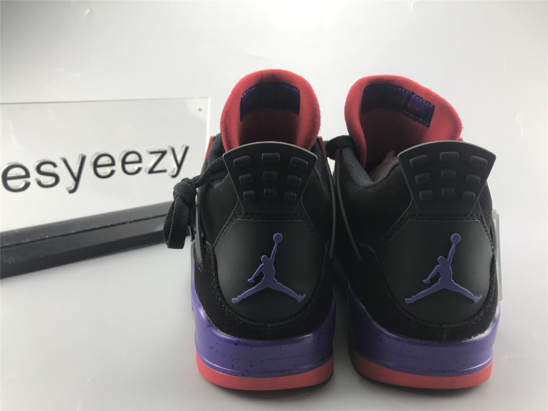 UA AIR JORDAN 4 RETRO NRG "RAPTOR - DRAKE SIGNATURE"