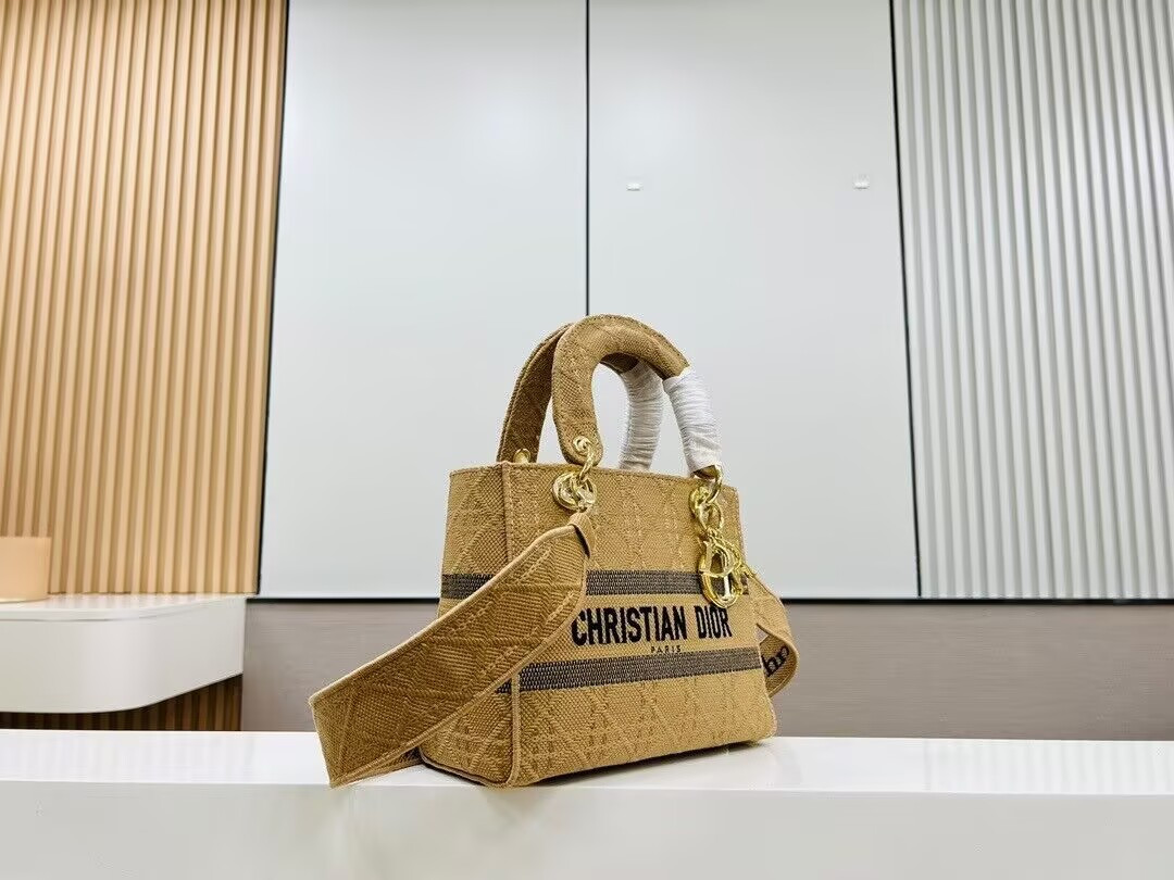 D10r Medium Lady D-Lite Bag 24x20x11cm