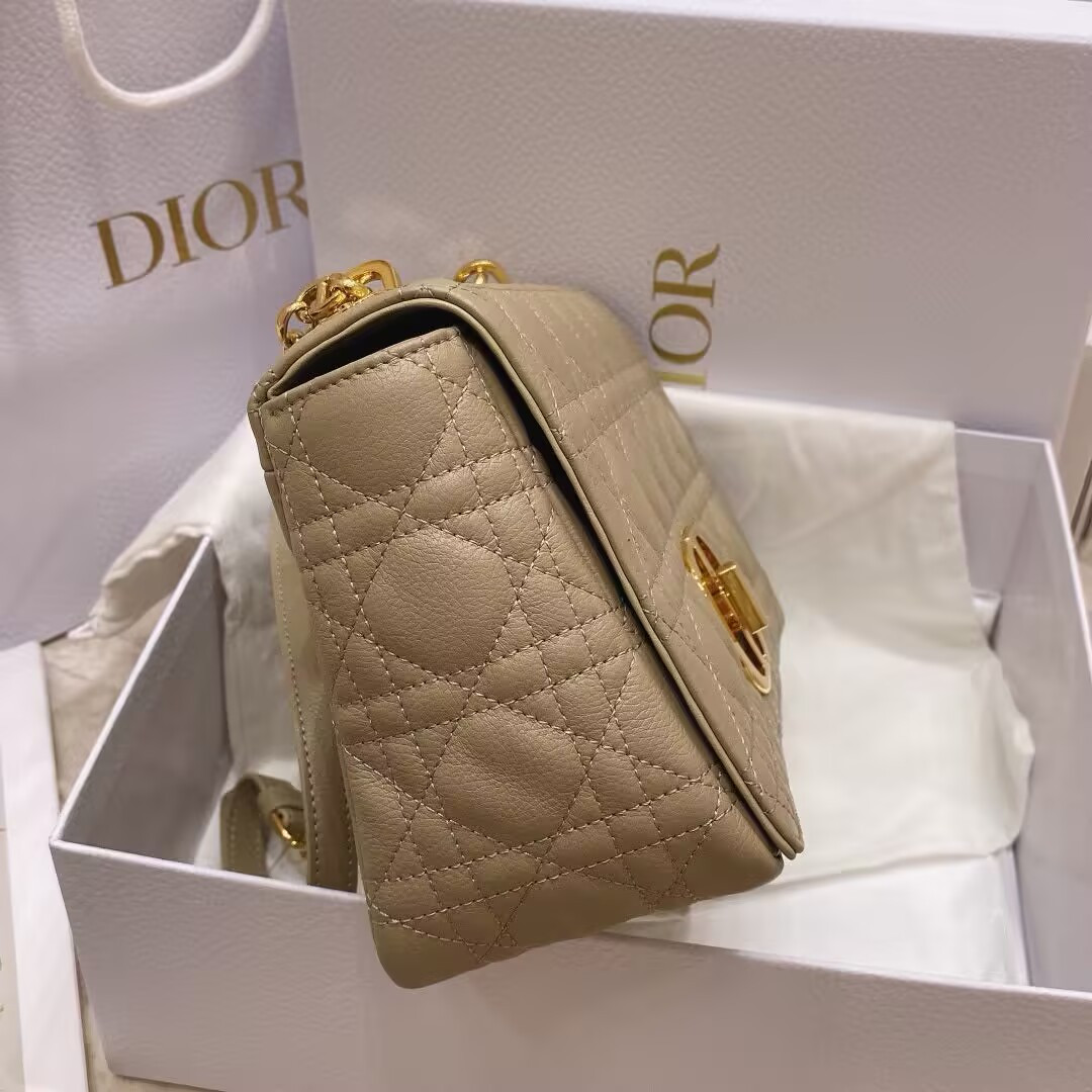 D10r Medium D10r Caro Bag 25.5x15.5x9cm