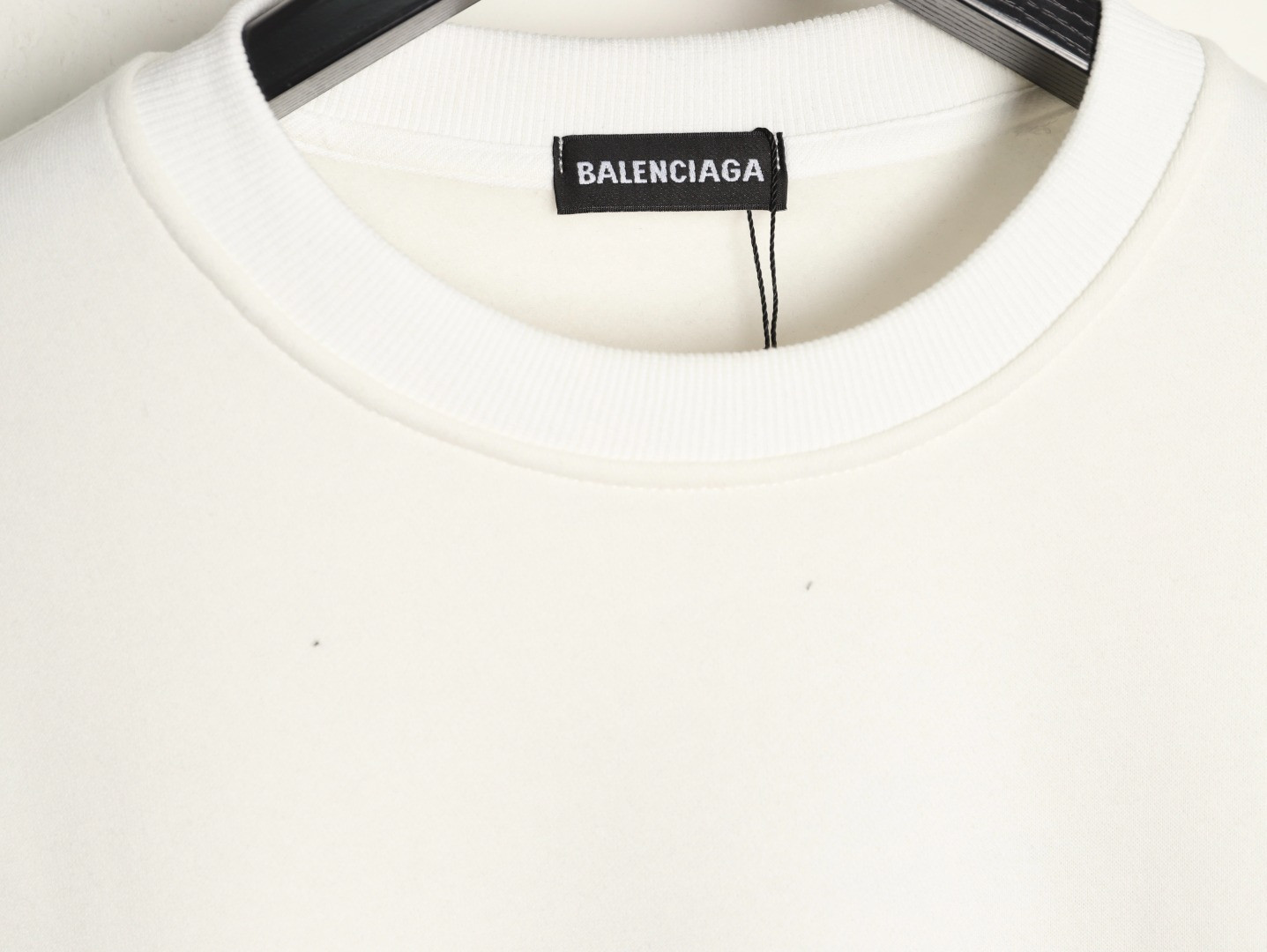 Ba1en*iaga 25FW Plush Hoodies