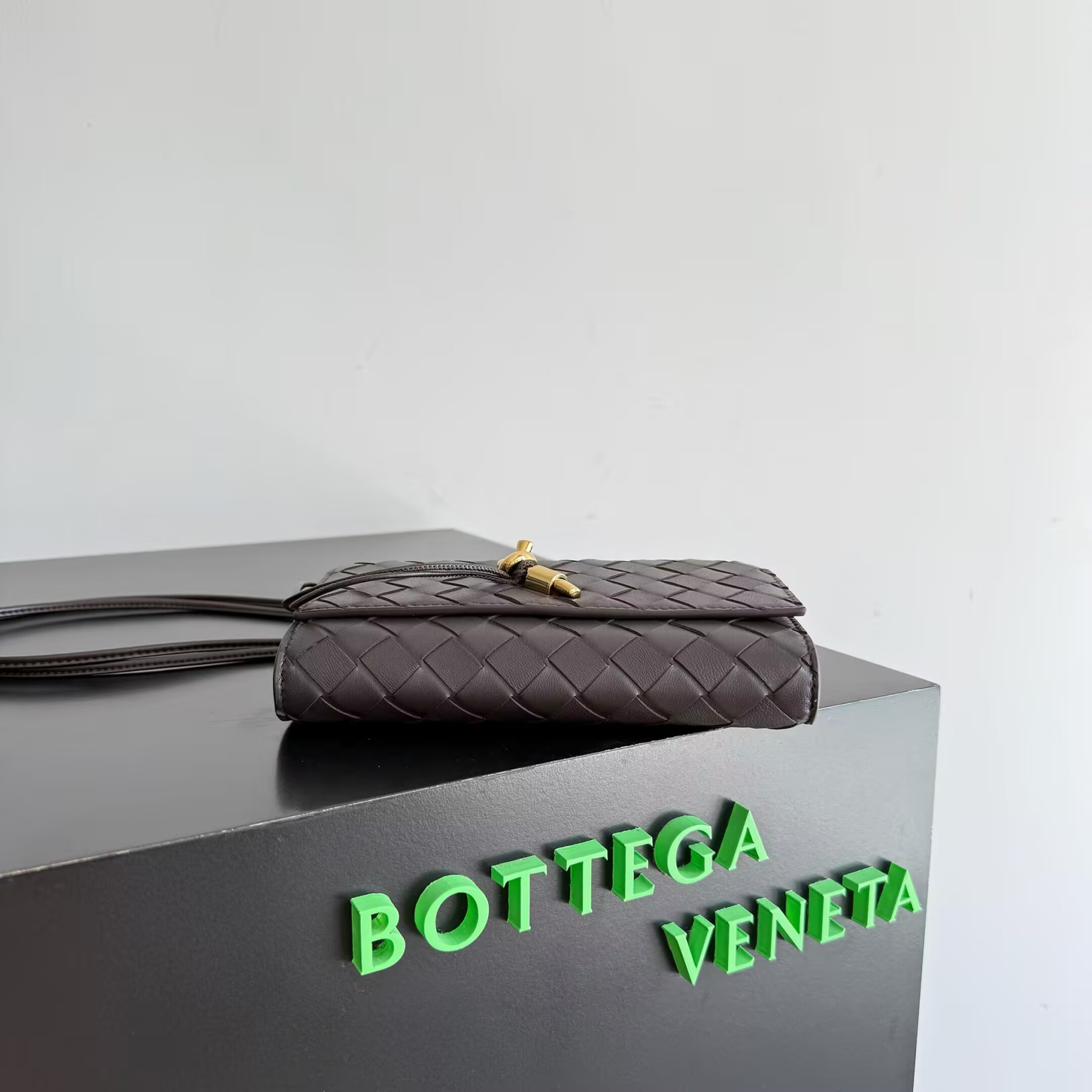 Bottega Veneta Andiamo Pouch on Strap 19x12.6x2cm