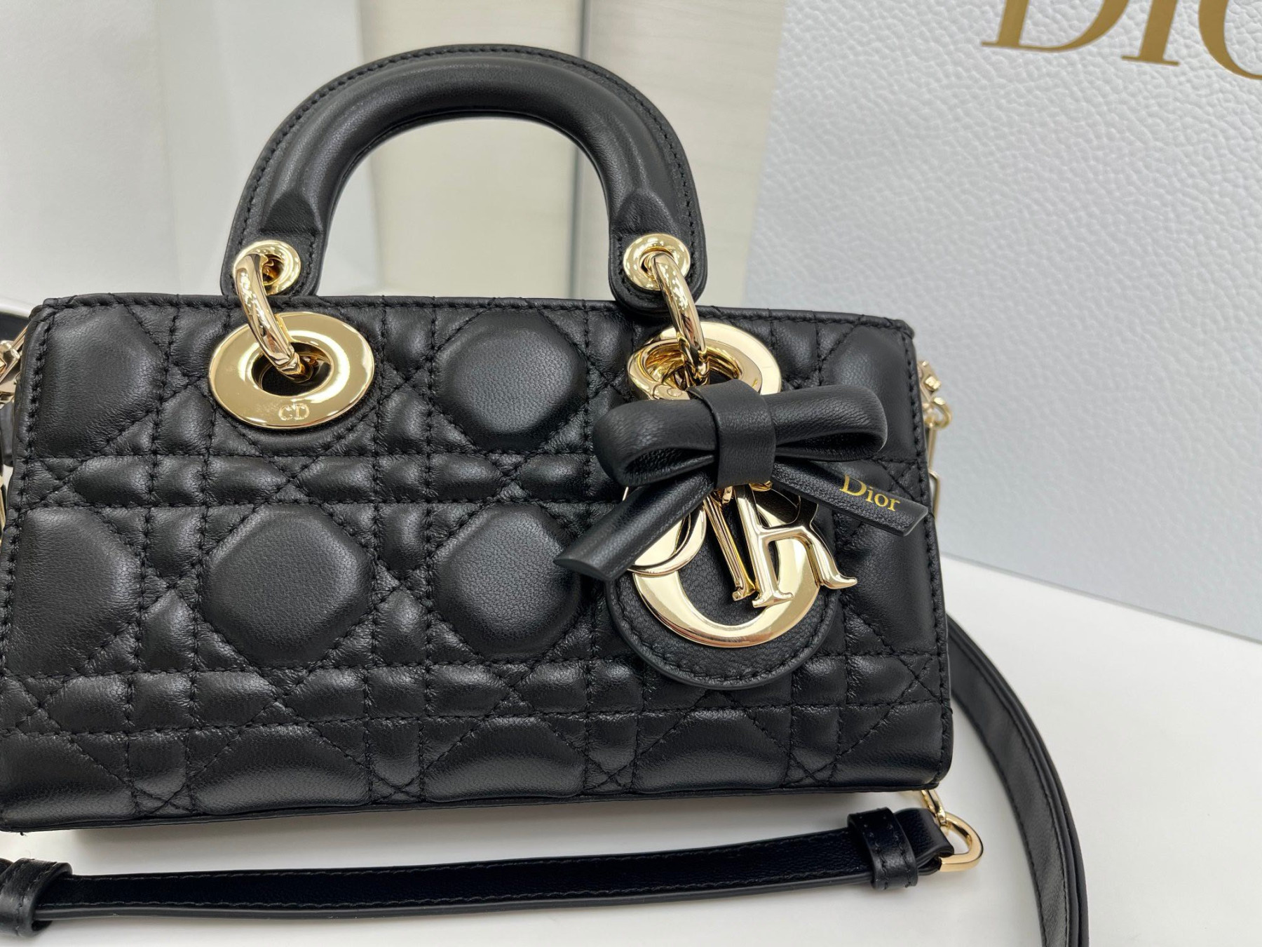 D10r mini lady d-joy bag 19x10.5x5.5cm