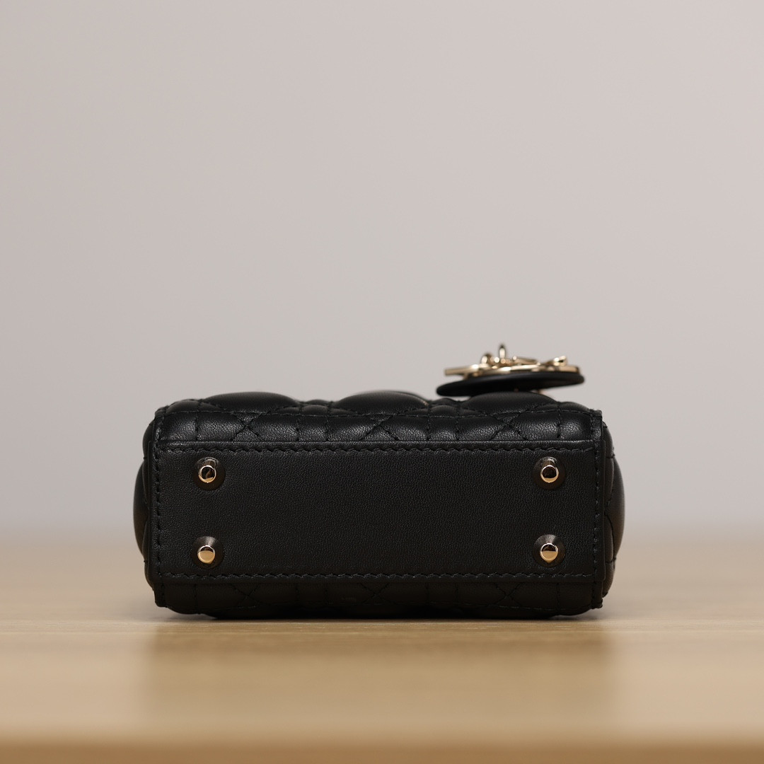 D10r Micro Lady Bag 12×10.2×5cm