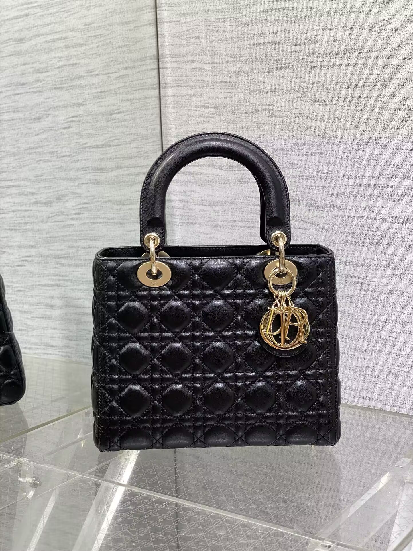 medium lady D10r bag 24 x 20 x 12 cm