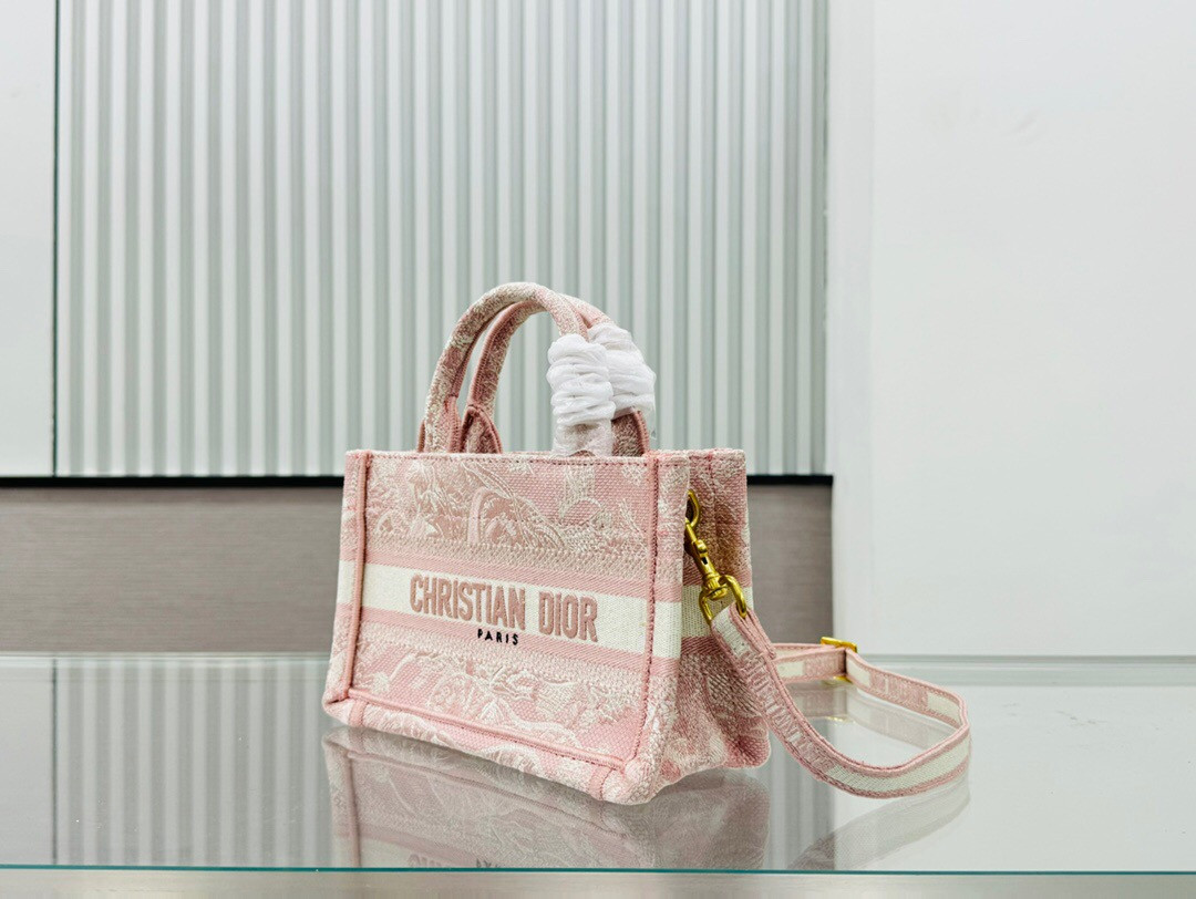 D10r book tote 24SS  21.5×13×7.5cm