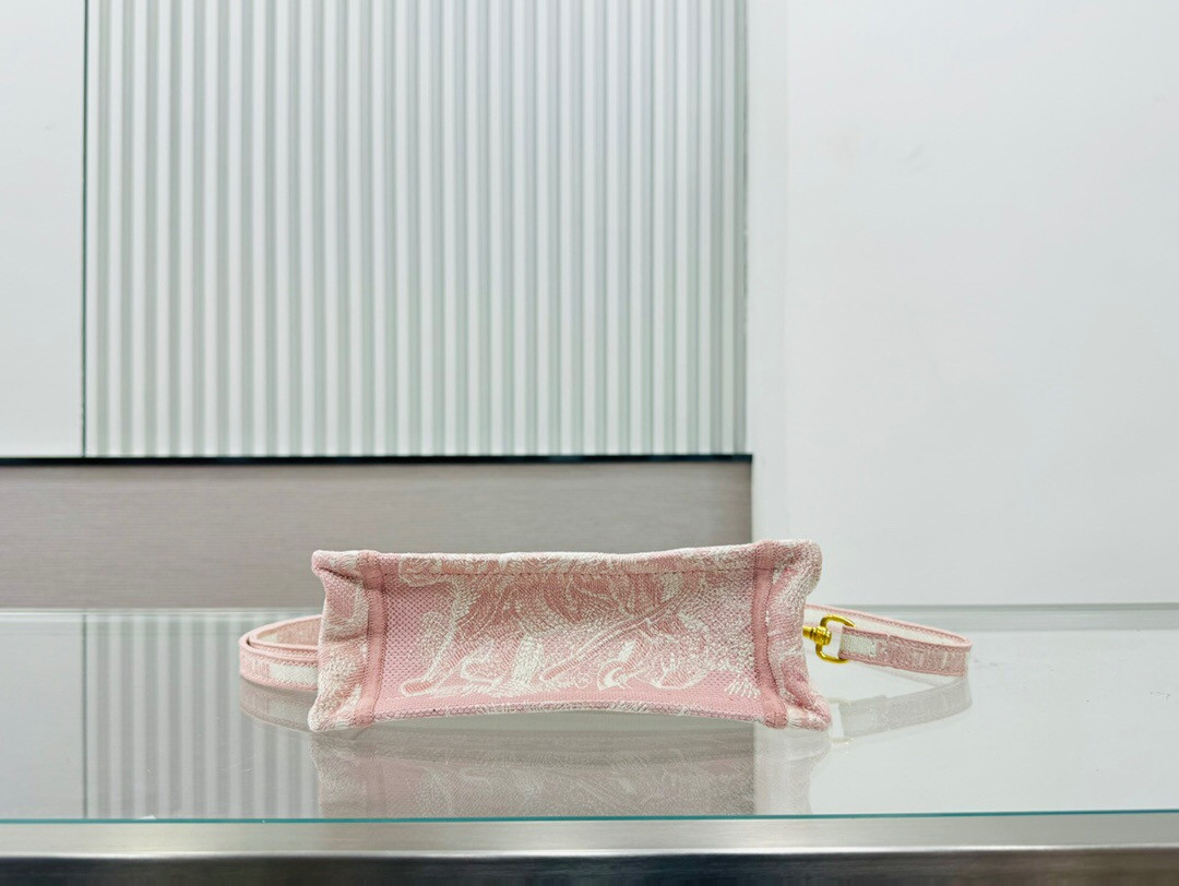 D10r book tote 24SS  21.5×13×7.5cm