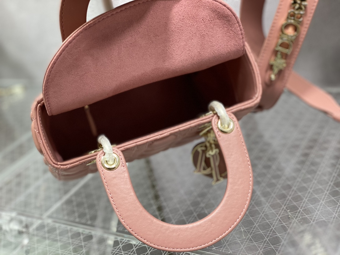 Small Lady D10rAMOUR My ABCD10r Bag 8 x 6.5 x 3 inches