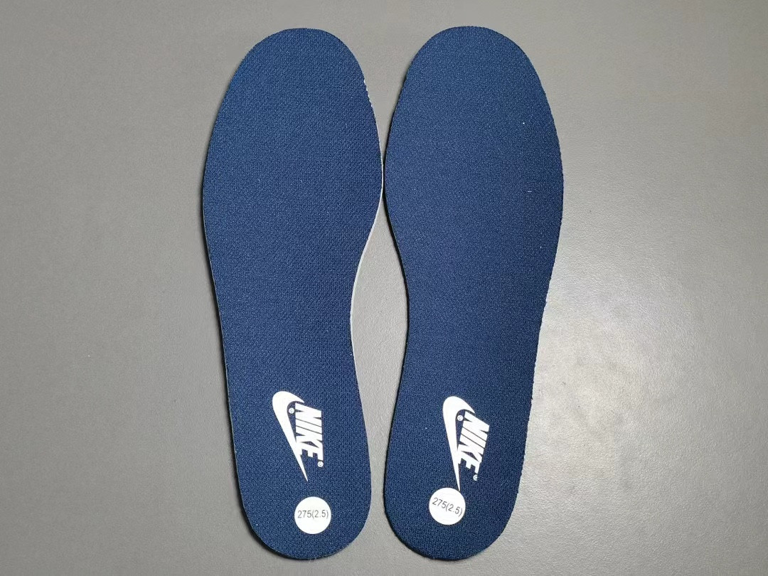 UA NIKE WMNS DUNK LOW 