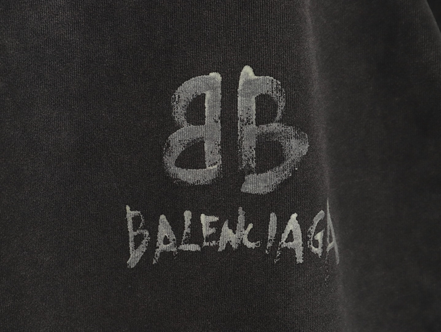 Ba1en*iaga Hoodies