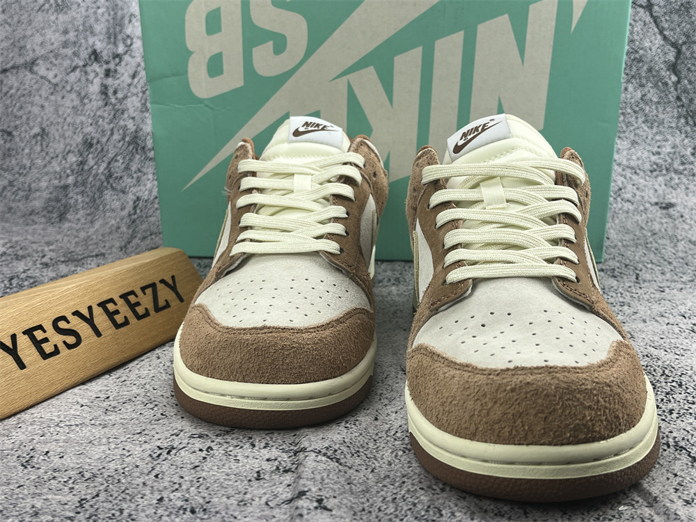 UA NIKE DUNK LOW PREMIUM 