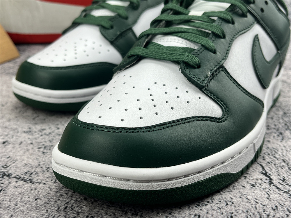 UA NIKE DUNK LOW 