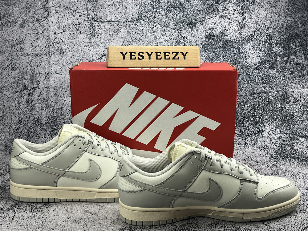 UA NIKE WMNS DUNK LOW 