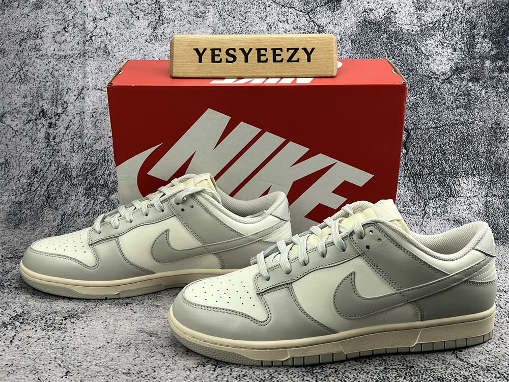 UA NIKE WMNS DUNK LOW 