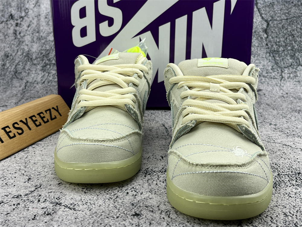 UA NIKE SB DUNK LOW MUMMY