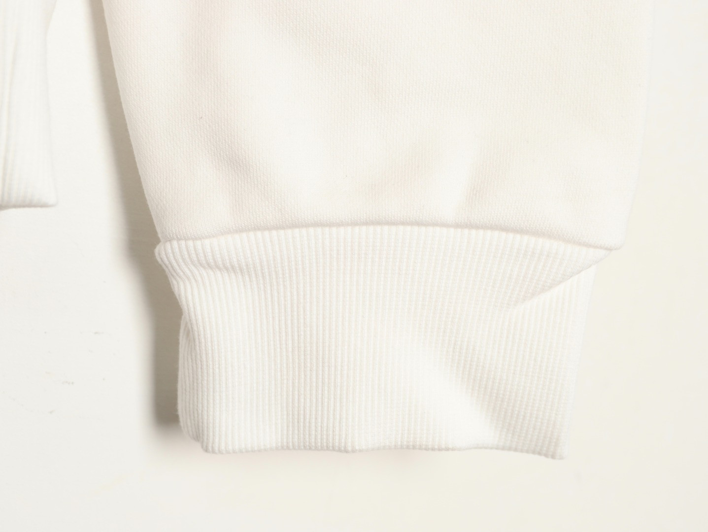 Ba1en*iaga 25FW Hoodies